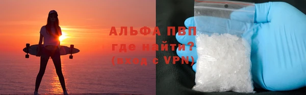 гидра Алзамай