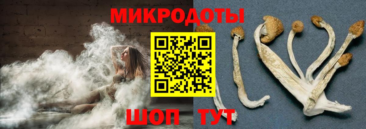 Галлюциногенные грибы GOLDEN TEACHER Ишимбай